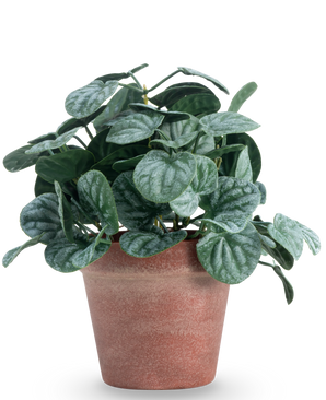 De Kunstplant Rugose blad 26 cm groen heeft ronde, groen getextureerde bladeren in een roodbruine pot van klei, tegen een effen witte achtergrond.