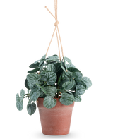 De Kunstplant Rugose blad 29 cm groen in hangpot heeft ronde, donkergroene bladeren in een bruine hangpot, tegen een effen witte achtergrond.