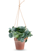 De Kunstplant Rugose blad 18 cm groen heeft ronde groene bladeren in een terra-cotta hangpot, opgehangen aan tan touw, tegen een effen witte achtergrond.