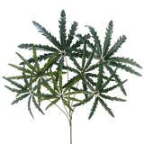 De Kunsttak Ming Aralia spray 68 cm FR heeft groene, stekelige bladeren die zich vertakken vanaf slanke stelen, tegen een effen witte achtergrond.