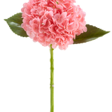 De Kunstbloem Charlotte Hortensia Real Touch donker roze is een kunsthortensiabloem van 55 cm lang, met een ronde tros donkerroze bloemblaadjes en groene blaadjes op een lange steel, geïsoleerd op een witte achtergrond.