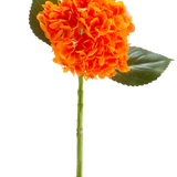 De Kunstbloem Charlotte Hortensia Real Touch oranje 55 cm heeft een levendige oranje hortensiabloem met bloemblaadjes, een groene steel en twee grote groene bladeren tegen een witte achtergrond.