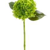 De Kunstbloem Charlotte Hortensia Real Touch donkergroen 55 cm bestaat uit één groene hortensiabloem met in trossen geplaatste bloemblaadjes, drie glanzende bladeren en een lange steel, allemaal afgebeeld tegen een witte achtergrond.
