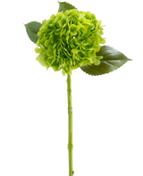 De Kunstbloem Charlotte Hortensia Real Touch donker groen 55 cm heeft een levensechte groene hortensia met een ronde tros kleine bloemblaadjes, lange steel en drie groene bladeren, afgebeeld tegen een witte achtergrond.