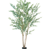 De Kunstplant Eucalyptus 240 cm is een hoge kunstplant met meerdere dunne houtachtige stengels en ronde groene bladeren, weergegeven in een eenvoudige zwarte pot tegen een effen witte achtergrond.