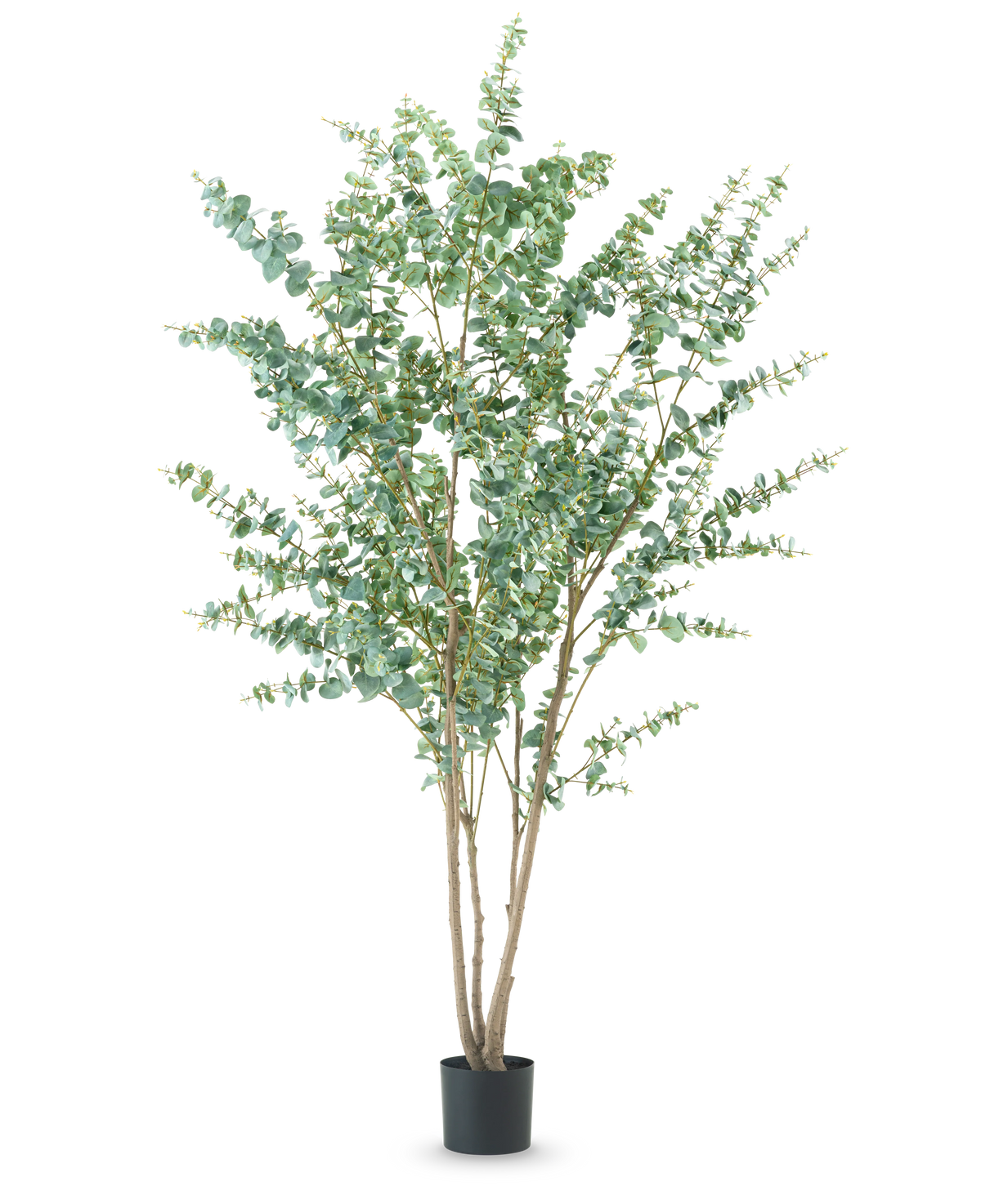 De Kunstplant Eucalyptus 240 cm is een hoge kunstplant met meerdere dunne houtachtige stengels en ronde groene bladeren, weergegeven in een eenvoudige zwarte pot tegen een effen witte achtergrond.