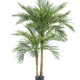 De Kunstplant Areca 180 cm is een hoge kunstpalm met meerdere slanke stammen en lange groene bladeren, in een eenvoudige zwarte pot tegen een witte achtergrond.