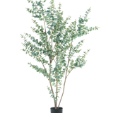 De Kunstplant Eucalyptus 210 cm is een hoge kunstmatige eucalyptus in een eenvoudige zwarte pot, met meerdere slanke takken en ronde, zilvergroene bladeren tegen een witte achtergrond.