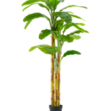 De Kunstplant Bananenboom 270 cm heeft brede groene bladeren en geelgroene stelen in een kleine zwarte pot, tegen een effen witte achtergrond.