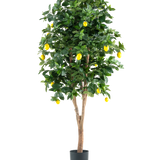 De Kunstplant Citroenboom 180 cm is een hoge, kunstmatige citroenboom met weelderige groene bladeren en levendige gele citroenen tegen een effen witte achtergrond.