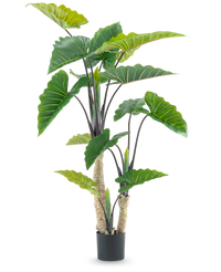 Plante artificielle Calocasia 180 cm