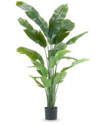 Kunstplant Strelitzia Nicolai Deluxe 195 cm