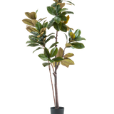 De Kunstplant Yulaniaboom 180 cm is een hoge, onderhoudsvriendelijke kunstplant met brede glanzende groene en bruine bladeren, meerdere slanke stelen en een zwarte cilindrische pot, tegen een effen witte achtergrond.