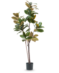 Plante artificielle arbre Yulania 180 cm