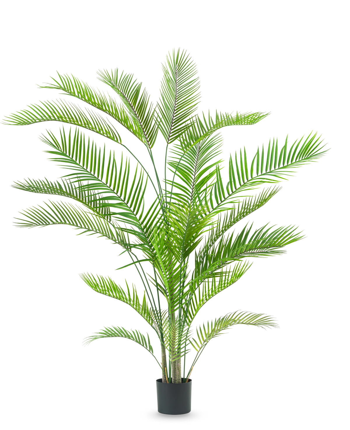 De Kunstplant Chamaedorea 180 cm is een hoge, weelderige groene palm met lange, slanke bladeren op meerdere stammen in een eenvoudige zwarte pot, tegen een witte achtergrond.