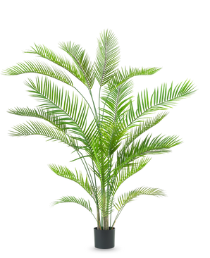 De Kunstplant Chamaedorea 180 cm is een hoge, weelderige groene palm met lange, slanke bladeren op meerdere stammen in een eenvoudige zwarte pot, tegen een witte achtergrond.