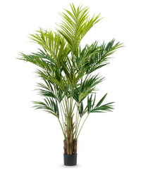 Plante artificielle Kentia Palmier 270 cm