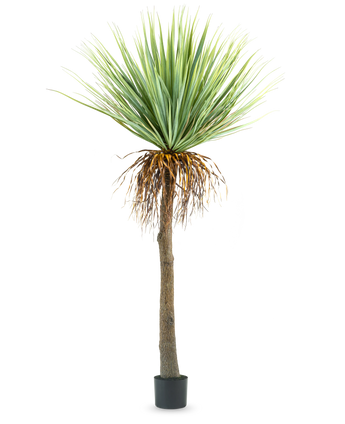De Kunstplant Yucca 153 cm heeft een hoge, ruwe bruine stam met groene stekelige bladeren aan de bovenkant en wat gedroogde bladeren aan de onderkant, tegen een effen witte achtergrond.