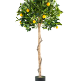 Een Kunstplant Sinaasappelboom op enkele stam 150 cm in pot met een slanke stam, levendige groene bladeren en realistische oranje vruchten, afgebeeld tegen een effen witte achtergrond.