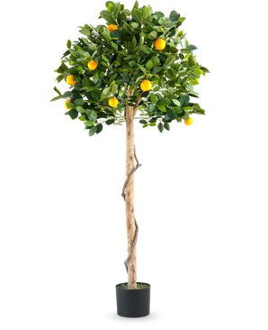 Een Kunstplant Sinaasappelboom op enkele stam 150 cm in pot met een slanke stam, levendige groene bladeren en realistische oranje vruchten, afgebeeld tegen een effen witte achtergrond.