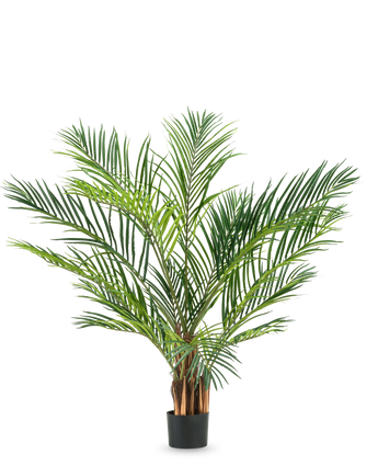 De Kunstplant Areca 150 cm heeft lange, slanke groene bladeren en bruine stelen in een eenvoudige zwarte pot, tegen een effen witte achtergrond.