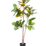 De Kunstplant Yulaniaboom 150 cm is een hoge, levensechte kunstplant met brede groene en gele bladeren in een zwarte pot, tegen een effen witte achtergrond.