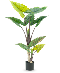 Plante artificielle Calocasia 150 cm