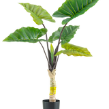 De Kunstplant Calocasia 120 cm heeft grote, brede groene bladeren en een dikke centrale stengel in een hoge pot, tegen een effen witte achtergrond.