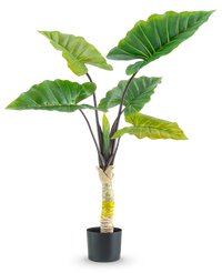 Plante artificielle Calocasia 120 cm