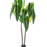 De Kunstplant Anthurium 240 cm is een hoge kunstplant in pot met twee bruine stelen en grote, langwerpige groene bladeren tegen een effen witte achtergrond.