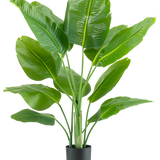 De Kunstplant Strelitzia Real Touch Deluxe 120 cm heeft brede, glanzend groene bladeren op lange stelen, in een eenvoudige zwarte pot en tegen een effen witte achtergrond.