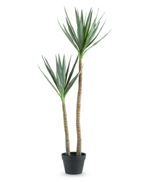 De Kunstplant Heneken 120 cm is een kunstmatige yucca plant met twee hoge, slanke stammen en puntige groene bladeren tegen een effen witte achtergrond.