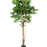 De Kunst Eikenboom 210 cm heeft meerdere dunne bruine stammen en dichte groene bladeren in een zwarte plastic pot, tegen een effen witte achtergrond.