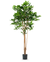 Chêne artificiel 210 cm