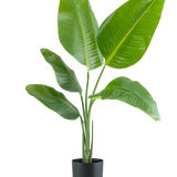 De Kunstplant Strelitzia 90 cm real touch heeft brede, glanzend groene bladeren en wordt geleverd in een eenvoudige zwarte pot, tegen een effen witte achtergrond.