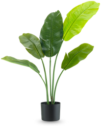 Kunstplant Strelitzia Nicolai Deluxe 90 cm