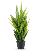 De Kunstplant Boston Varen 86 cm heeft hoge, weelderige groene bladeren in een eenvoudige zwarte pot, tegen een effen witte achtergrond.