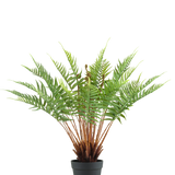 De Kunstplant Varen 66 cm is een kunstvaren in pot met lange, donzige groene bladeren en bruine stengels, tegen een effen witte achtergrond.