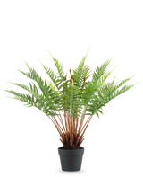 De Kunstplant Varen 66 cm is een kunstvaren in pot met lange, donzige groene bladeren en bruine stengels, tegen een effen witte achtergrond.