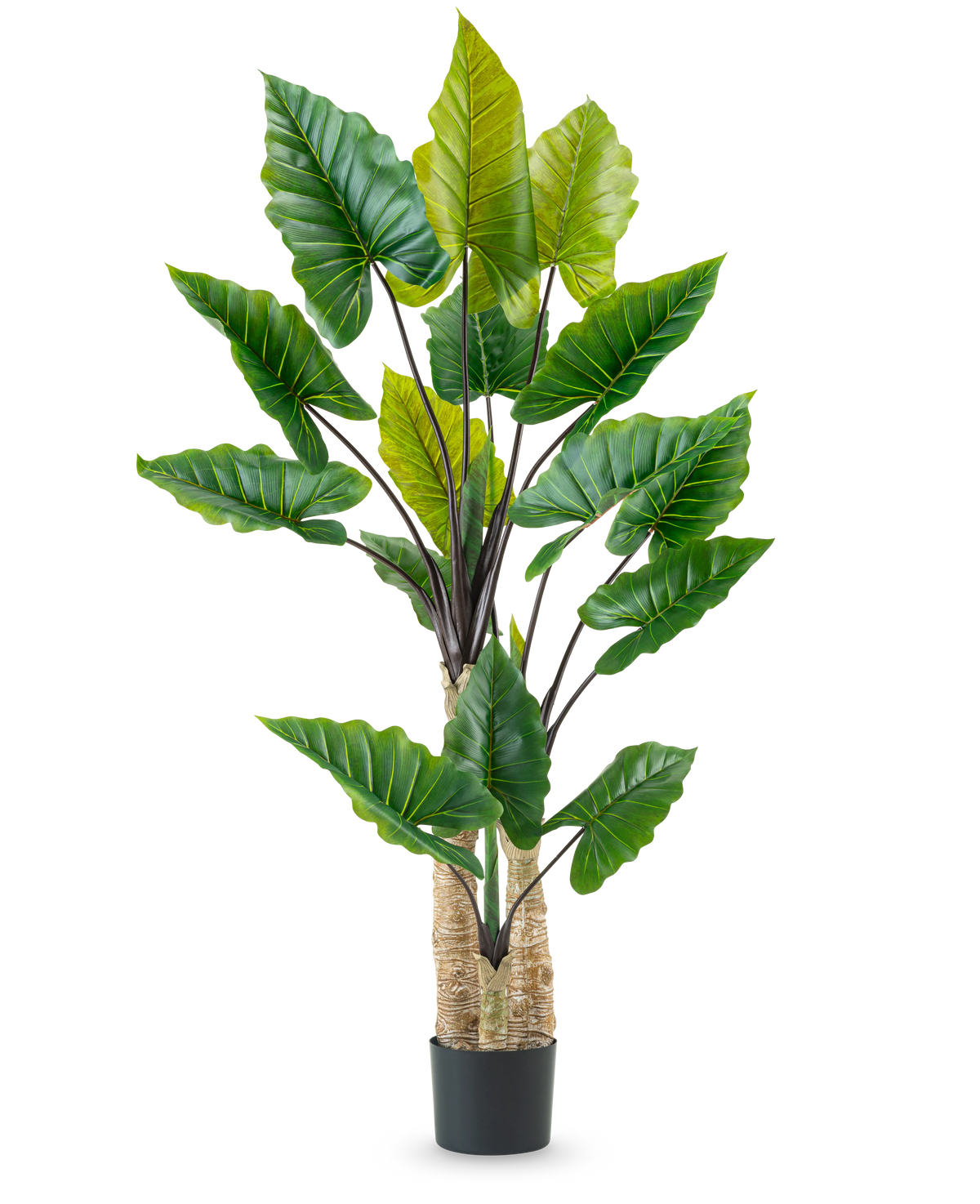 De Kunstplant Calocasia 210 cm heeft lange, stevige stelen en grote groene tropische bladeren, gerangschikt in een zwarte pot tegen een effen witte achtergrond.