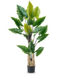 Plante artificielle Calocasia 210 cm