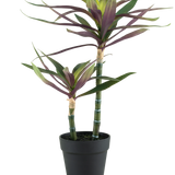 Een Kunstplant Yucca gigantea 53 cm met twee lange, slanke groene stelen met daarop puntige groene en paarse bladeren in een zwarte pot, tegen een witte achtergrond.