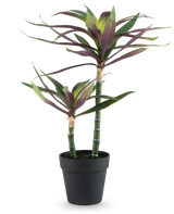 Een Kunstplant Yucca gigantea 53 cm met twee lange, slanke groene stelen met daarop puntige groene en paarse bladeren in een zwarte pot, tegen een witte achtergrond.