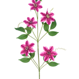 De Kunstbloem Clematis dubbel 78 cm paars heeft vijf stervormige, paarse dubbele bloesems met groene bladeren en krullende ranken op slanke stelen, tegen een witte achtergrond.