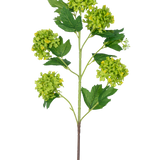De Kunsttak Sneeuwbal 77 cm groen heeft een enkele stengel met verschillende trossen ronde, groengele bloemen en donkergroene, gekartelde bladeren, alles tegen een witte achtergrond.