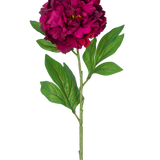 Een enkele Kunstbloem Pioen 77 cm aubergine kunststengel, met daarop een diep magenta pioenroos met enkele groene blaadjes, tegen een effen witte achtergrond.