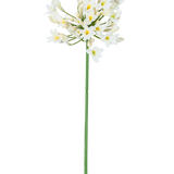 De Kunstbloem Agapanthus 77 cm wit heeft een enkele hoge groene steel met daarop een tros kleine witte bloemen met een geel hart, tegen een effen witte achtergrond.