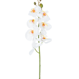 De Kunstbloem Orchidee 84 cm wit heeft een enkele steel van witte orchideeënbloemen met gele en roze hartjes en groene bloemknoppen bovenaan, tegen een effen witte achtergrond.