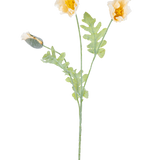 Een delicate botanische illustratie van Kunstbloem Klaproos 73 cm crème, met twee open gele bloemen en een gesloten knop op groene stelen met gekartelde bladeren, tegen een witte achtergrond.