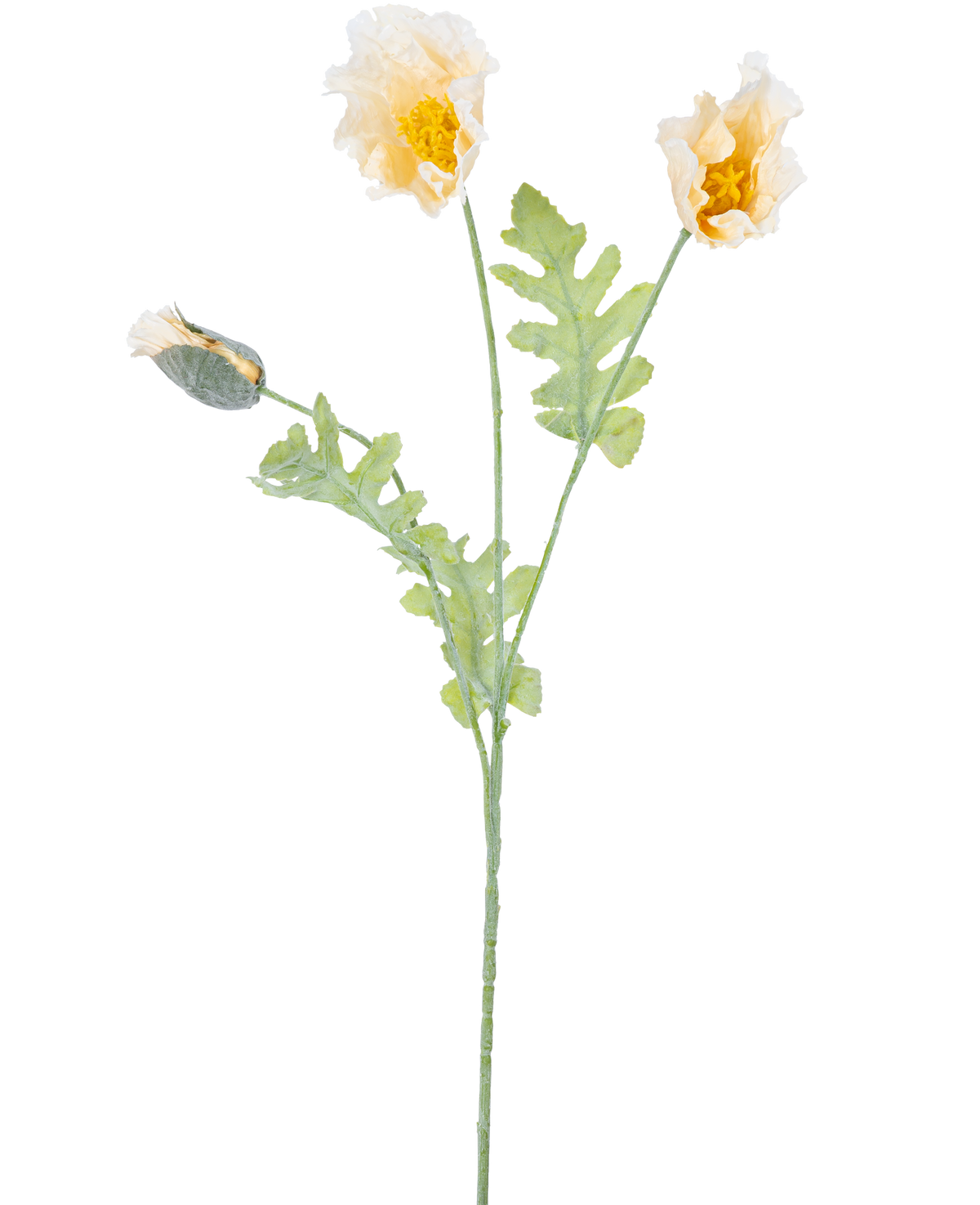 Een delicate botanische illustratie van Kunstbloem Klaproos 73 cm crème, met twee open gele bloemen en een gesloten knop op groene stelen met gekartelde bladeren, tegen een witte achtergrond.